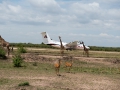 Afrika-217.jpg